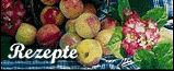 Hier geht's zu den Rezepten!